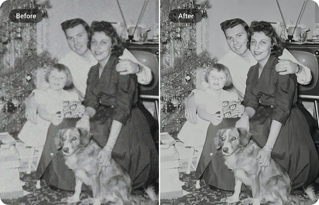 Denoise & Repair Old Photos